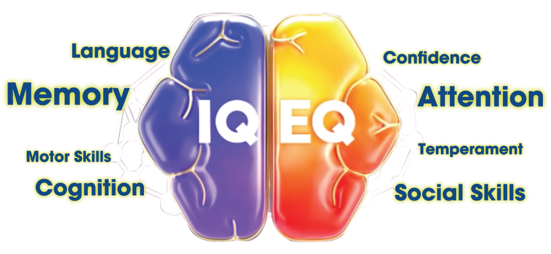 IQ & EQ
