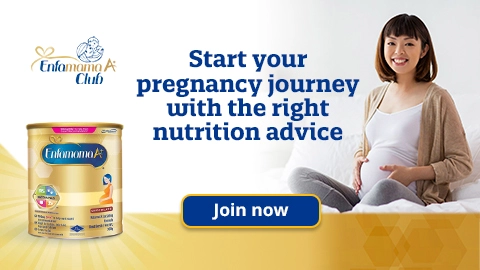 start your pregnancy journey with the right nutrition advice