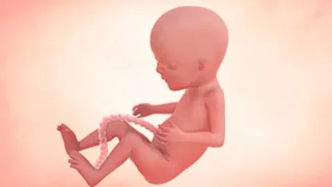 Your growing baby’s development in week 15