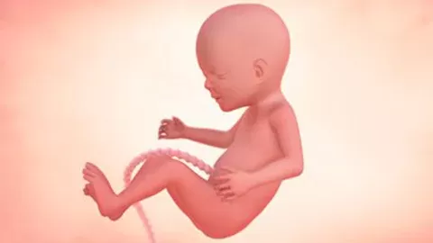 Your growing baby’s development in week 16