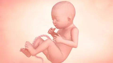Your growing baby’s development in week 28